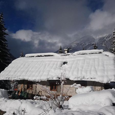 Wild Flower Cottage In Trenta Exterior photo