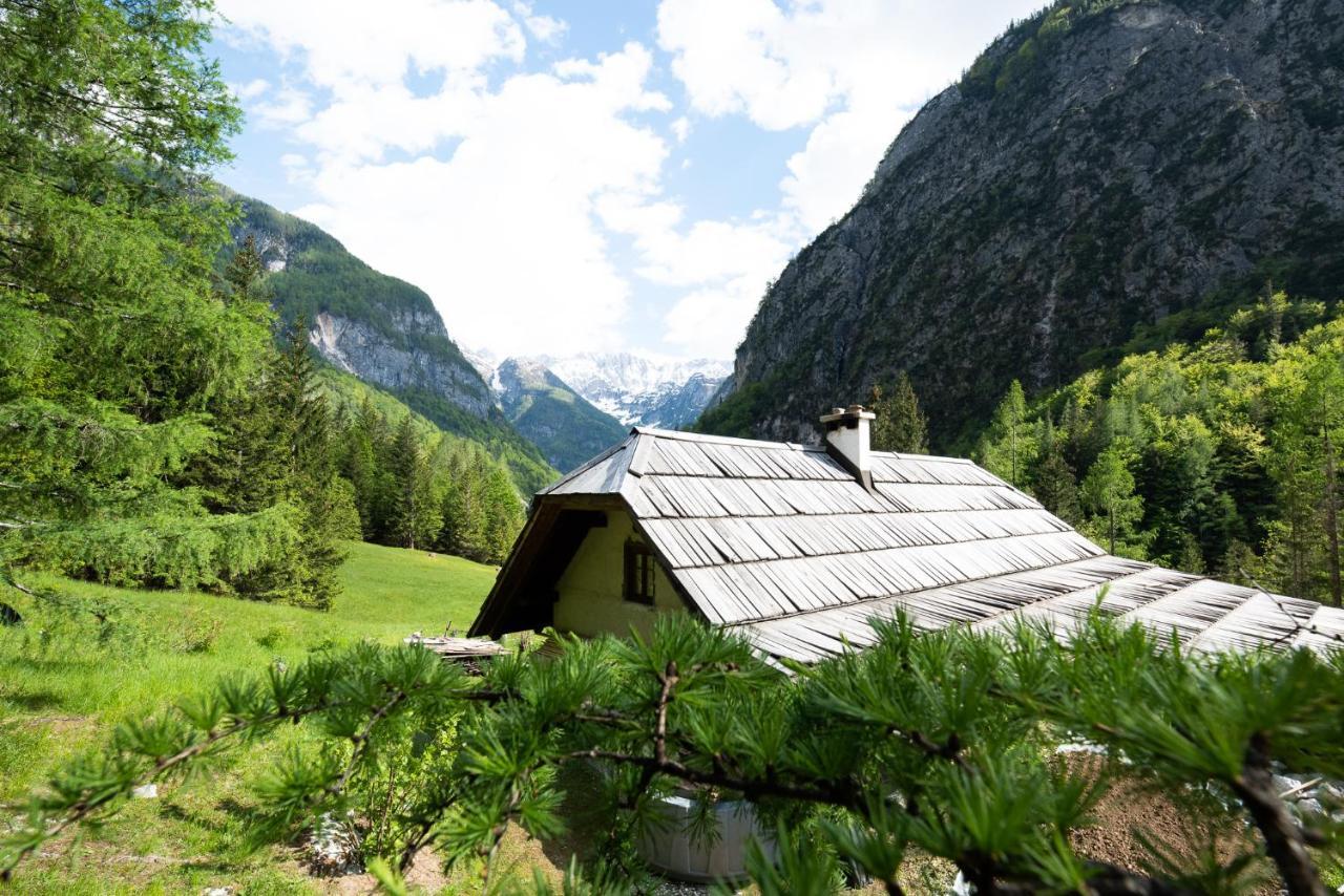 Wild Flower Cottage In Trenta Exterior photo